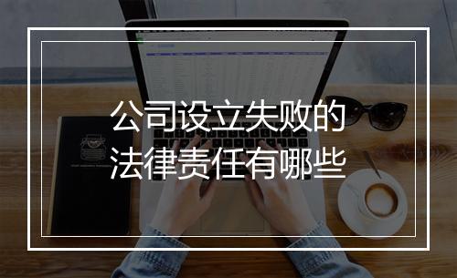 公司设立失败的法律责任有哪些