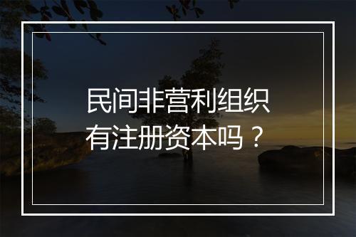 民间非营利组织有注册资本吗？