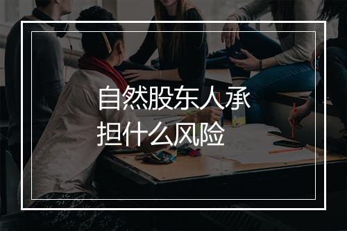 自然股东人承担什么风险