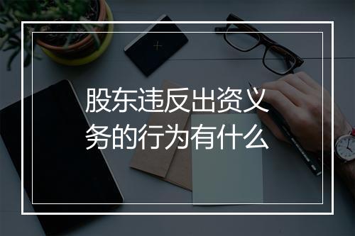 股东违反出资义务的行为有什么