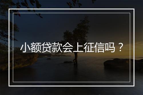 小额贷款会上征信吗？