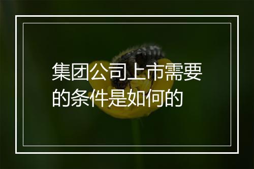集团公司上市需要的条件是如何的