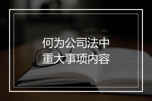 何为公司法中重大事项内容