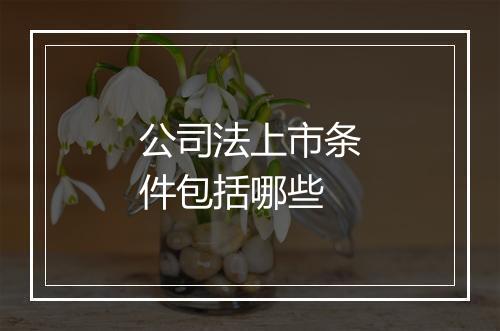 公司法上市条件包括哪些
