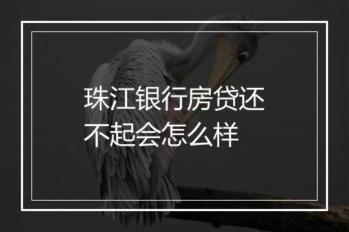 珠江银行房贷还不起会怎么样