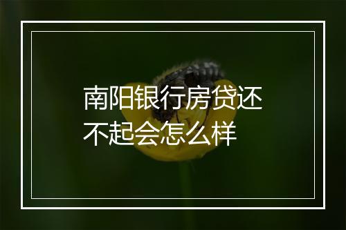南阳银行房贷还不起会怎么样