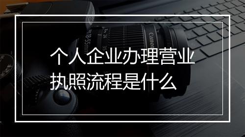 个人企业办理营业执照流程是什么