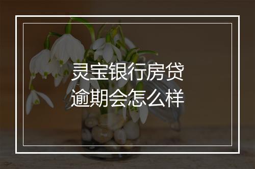 灵宝银行房贷逾期会怎么样