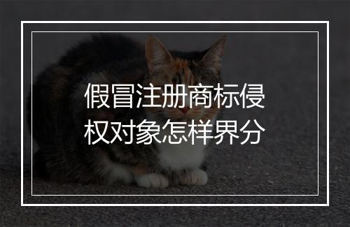 假冒注册商标侵权对象怎样界分