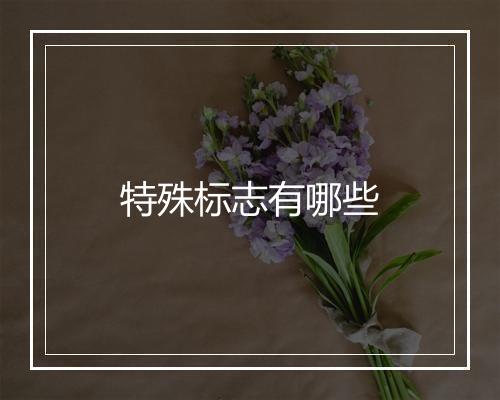 特殊标志有哪些