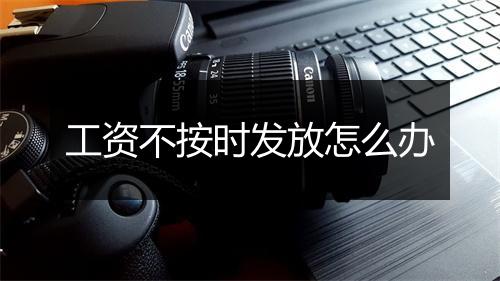 工资不按时发放怎么办