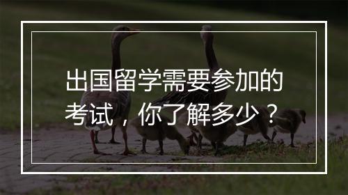 出国留学需要参加的考试，你了解多少？