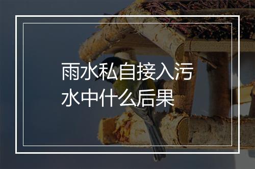 雨水私自接入污水中什么后果