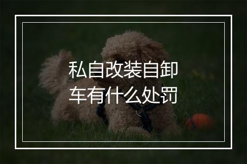 私自改装自卸车有什么处罚