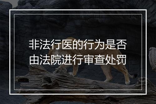 非法行医的行为是否由法院进行审查处罚