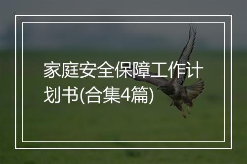 家庭安全保障工作计划书(合集4篇)