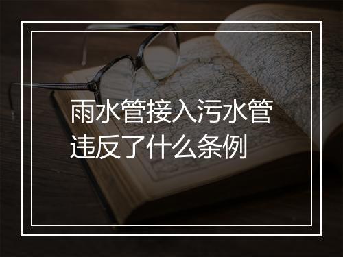 雨水管接入污水管违反了什么条例