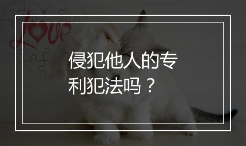 侵犯他人的专利犯法吗？
