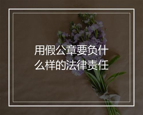 用假公章要负什么样的法律责任
