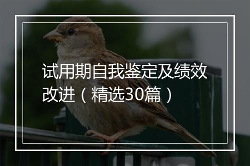 试用期自我鉴定及绩效改进（精选30篇）