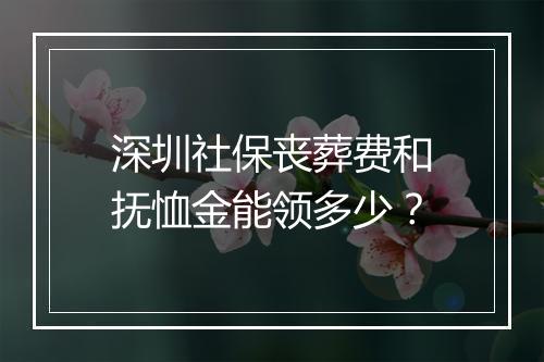 深圳社保丧葬费和抚恤金能领多少？