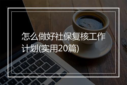 怎么做好社保复核工作计划(实用20篇)