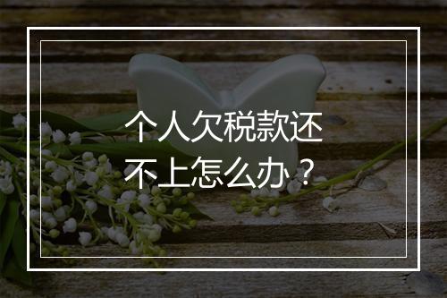个人欠税款还不上怎么办？