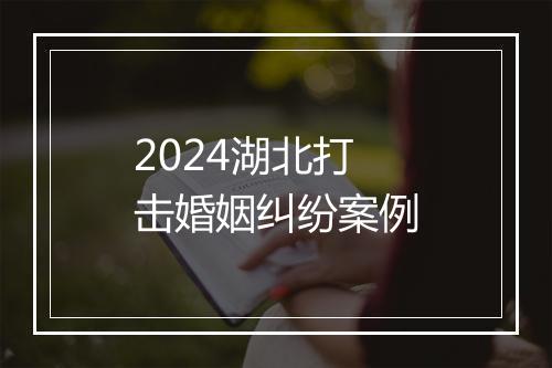 2024湖北打击婚姻纠纷案例