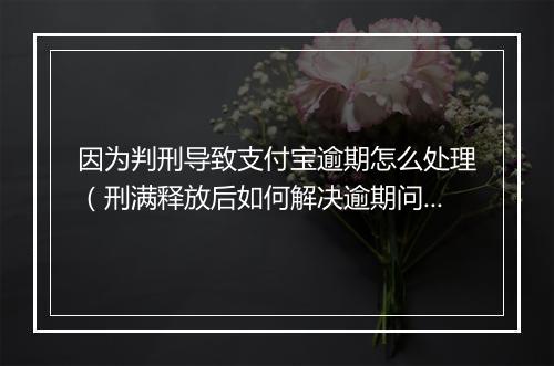 因为判刑导致支付宝逾期怎么处理（刑满释放后如何解决逾期问题）