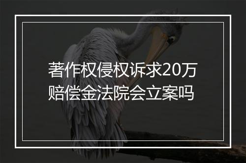 著作权侵权诉求20万赔偿金法院会立案吗