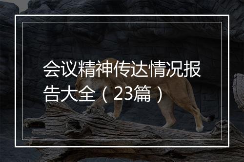 会议精神传达情况报告大全（23篇）