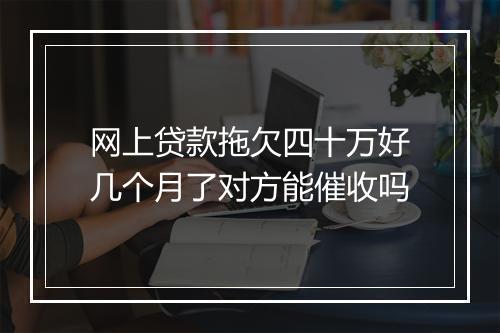 网上贷款拖欠四十万好几个月了对方能催收吗