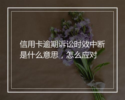 信用卡逾期诉讼时效中断是什么意思，怎么应对