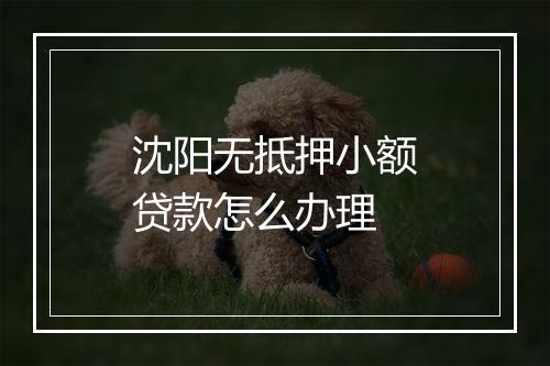 沈阳无抵押小额贷款怎么办理
