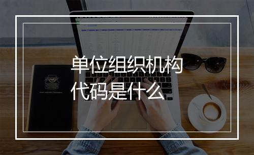 单位组织机构代码是什么