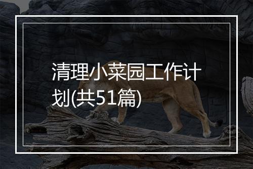 清理小菜园工作计划(共51篇)