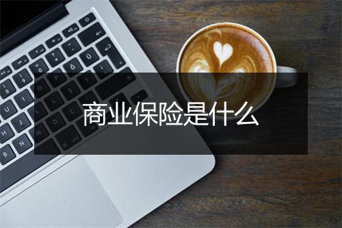 商业保险是什么