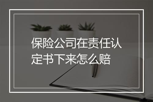 保险公司在责任认定书下来怎么赔