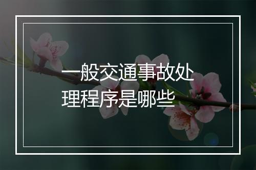 一般交通事故处理程序是哪些