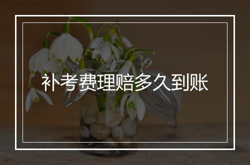 补考费理赔多久到账