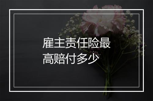 雇主责任险最高赔付多少