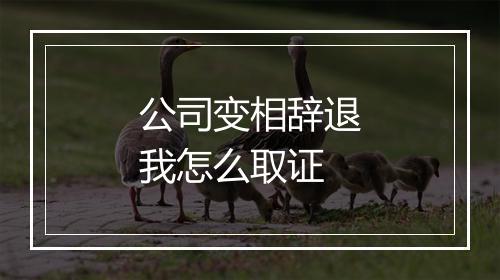 公司变相辞退我怎么取证