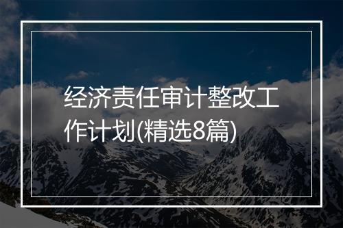 经济责任审计整改工作计划(精选8篇)