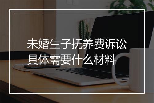 未婚生子抚养费诉讼具体需要什么材料