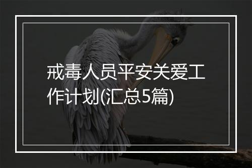 戒毒人员平安关爱工作计划(汇总5篇)
