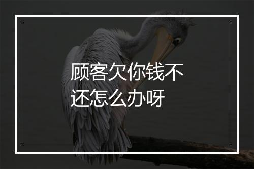 顾客欠你钱不还怎么办呀