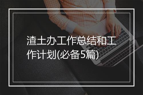 渣土办工作总结和工作计划(必备5篇)