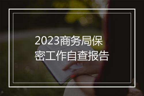 2023商务局保密工作自查报告