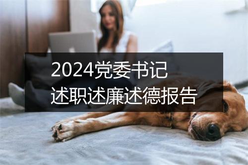 2024党委书记述职述廉述德报告
