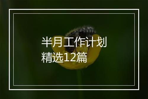 半月工作计划精选12篇
